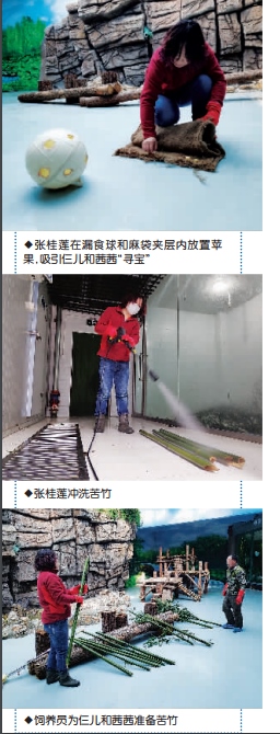 1550018109738726.png QQͼƬ20190213083256.png