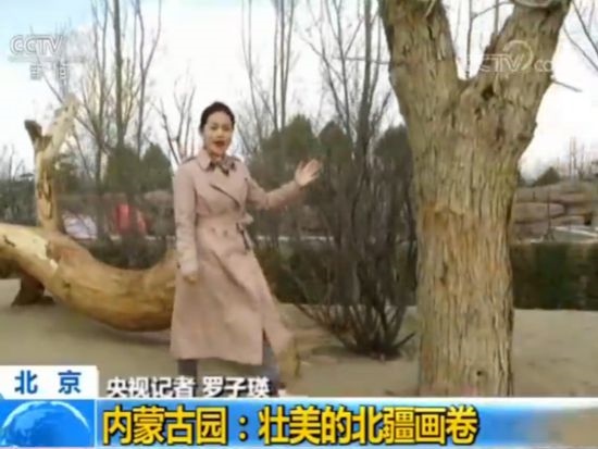 【魅力世園會】內(nèi)蒙古園：壯美的北疆畫卷