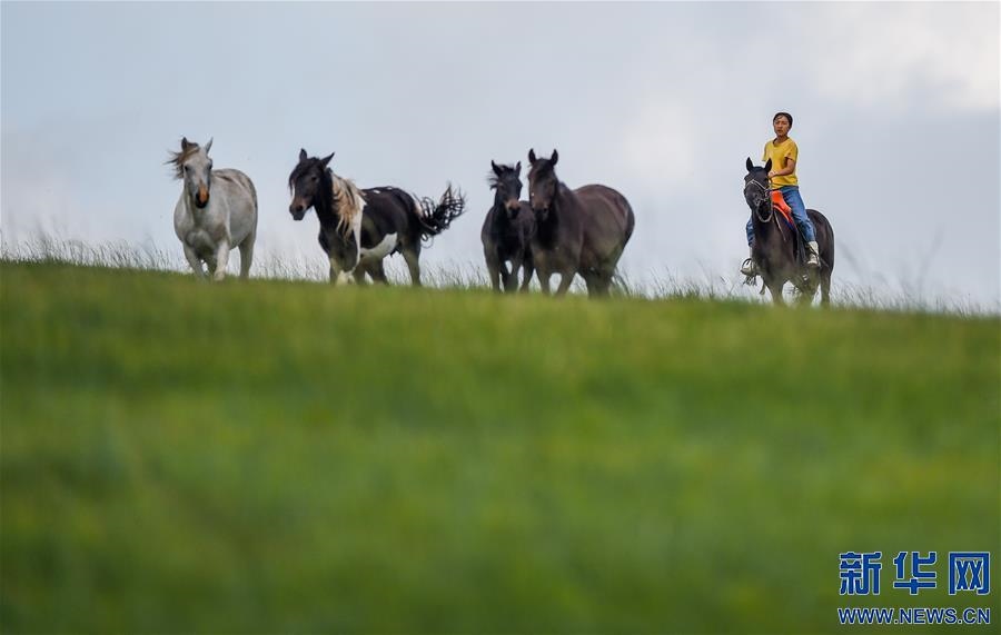 (特別的暑期生活·圖片故事)(5)草原女孩錫林花的暑期“歡樂時光”