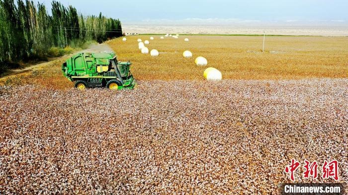 近年來(lái)，當(dāng)?shù)孛藁ǚN植戶的生產(chǎn)生活發(fā)生了翻天覆地的變化。　董霜 攝