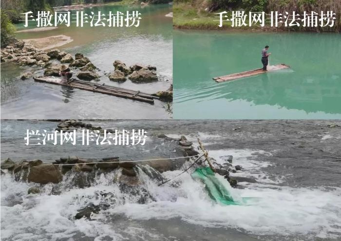 2021年9—10月，前期暗查發(fā)現(xiàn)，保護(hù)區(qū)核心區(qū)內(nèi)非法捕撈行為十分猖獗