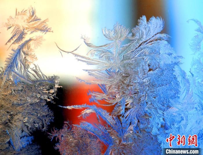 冰窗花千姿百態(tài)。　孫書程 攝