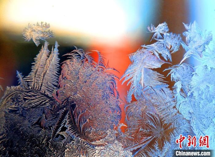 惟妙惟肖的冰窗花，似一幅風景畫?！O書程 攝