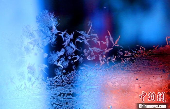 點點冰花像一個個小精靈?！O書程 攝