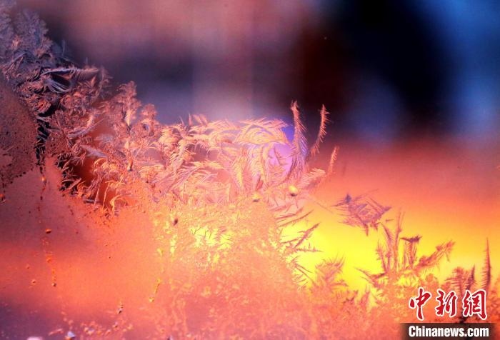 迎著光亮，冰窗花絢麗多姿。　孫書程 攝