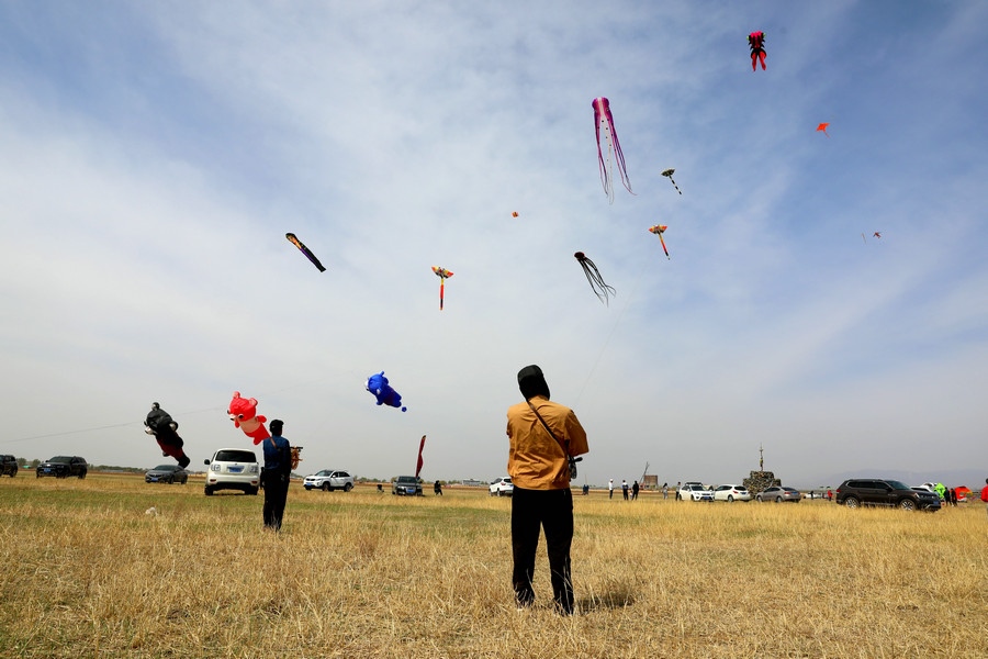 1619265934675722.jpg 7O5A8038.JPG