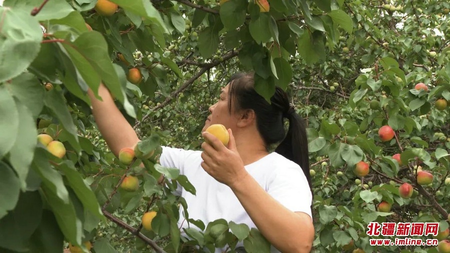 1657186892118324.jpg 微信圖片_20220707173626.jpg