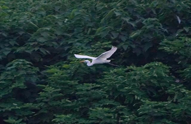 1662608233121569.jpg W020220907333443119984.jpg