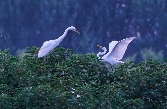 1662608260185122.jpg W020220907333447491840.jpg