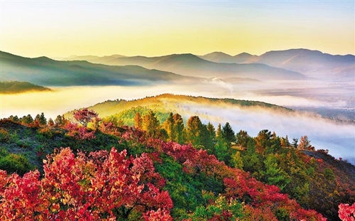 1664860769932197.jpg 00300587952_38563ad6_副本.jpg