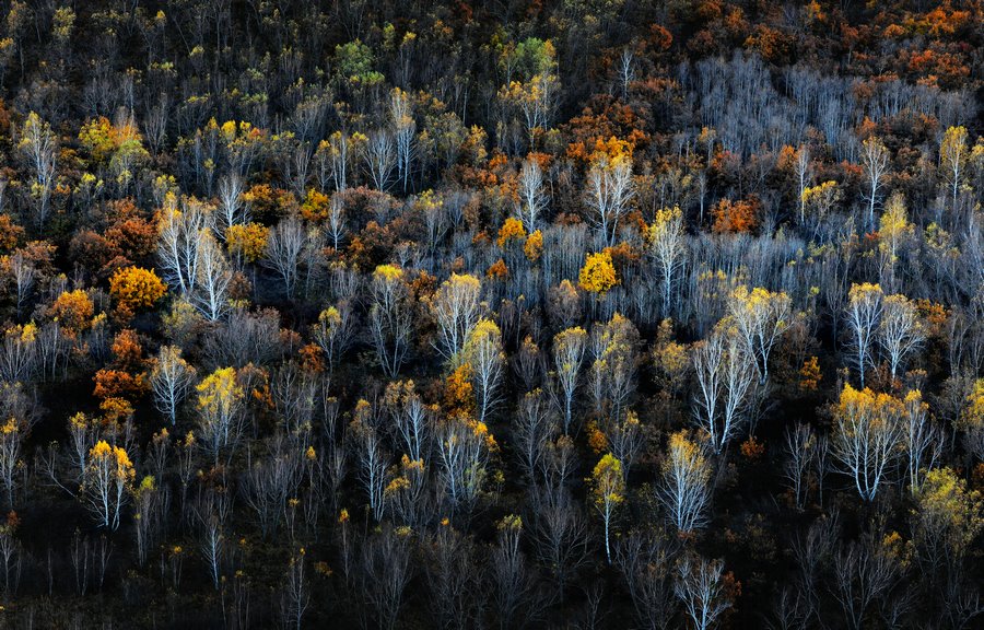 1667391070129607.jpg 08.jpg