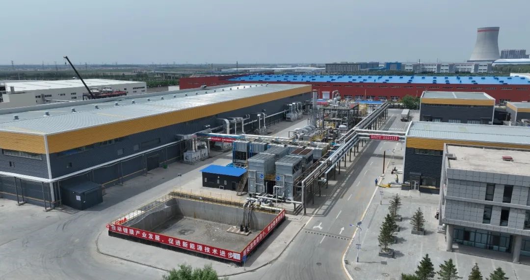 1691816640691176.jpg 10.jpg