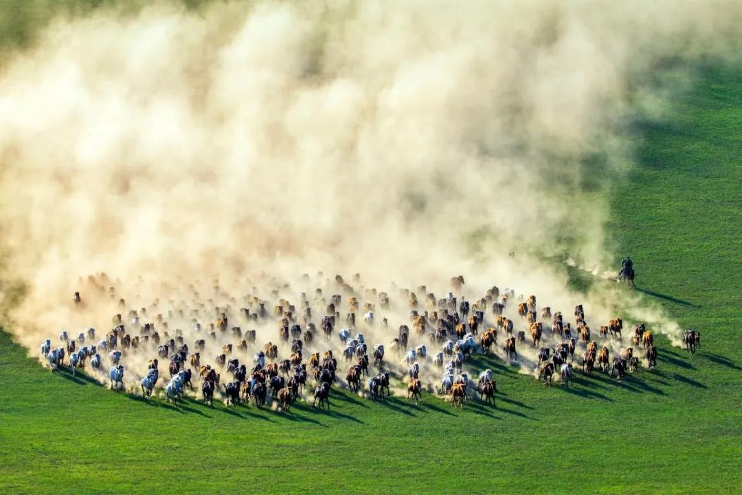 1702370865976735.jpg 640 (2).jpg