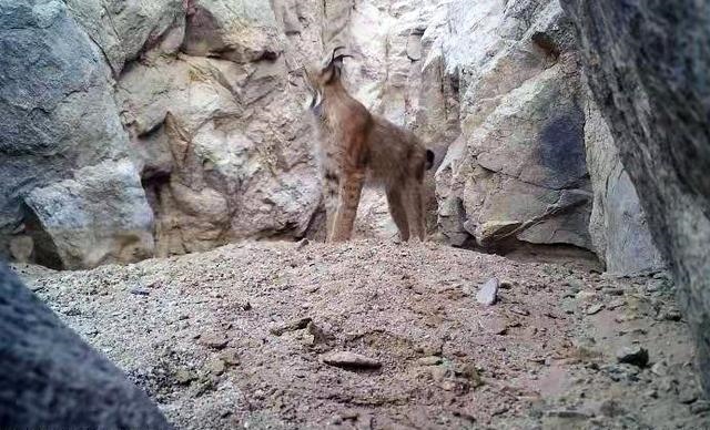 1711009308529290.jpg DM_20240321162109_001.jpg