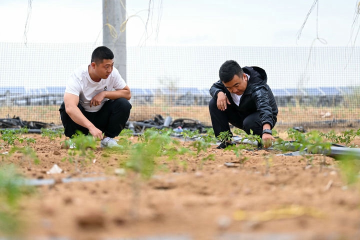 1721113410132796.jpeg 1.活動展板(2).jpeg