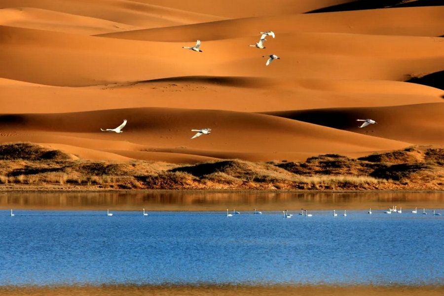 1723099487725386.jpg 640 (30).jpg