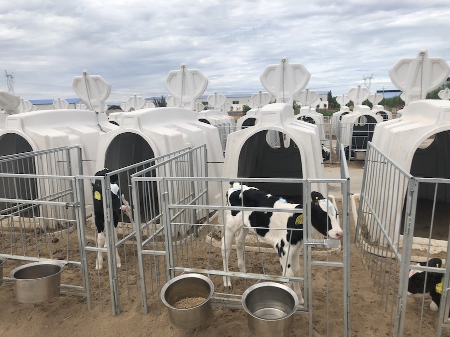 1729501446109046.jpeg WechatIMG299.jpeg