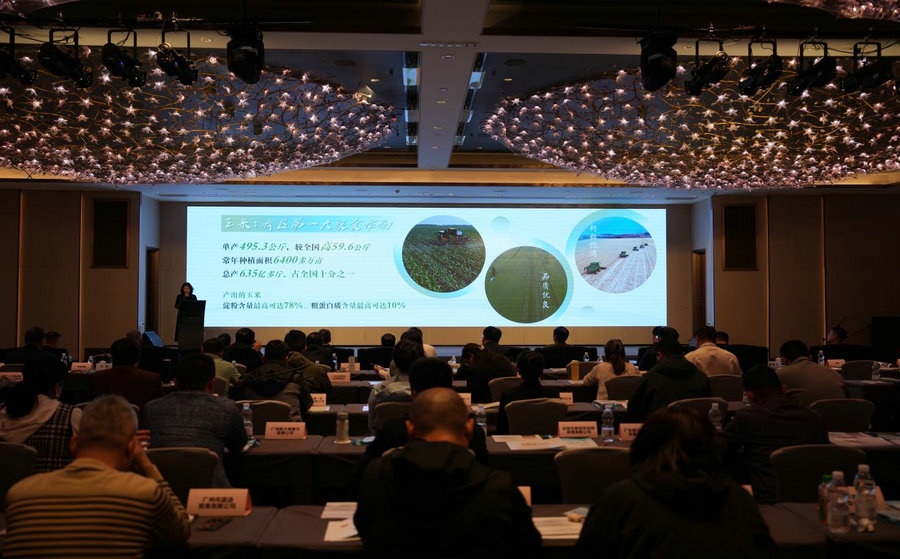 1732867096498135.jpg 廣2.jpg