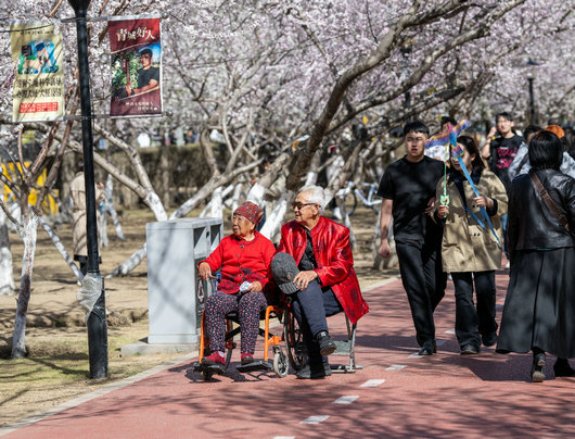 1744085036683559.jpg 桃花6.jpg