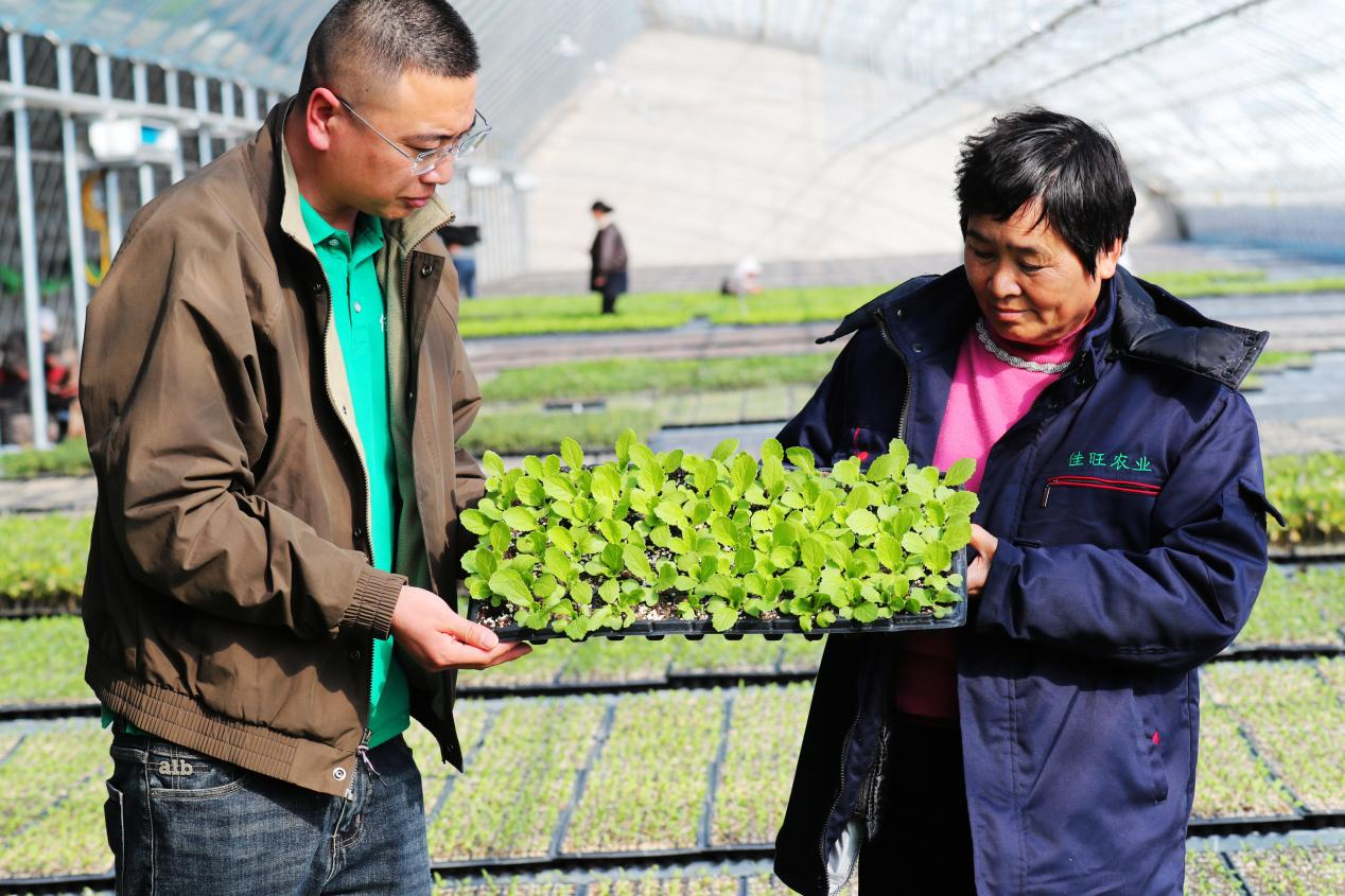 1773045093104240.png 1773045093104240.png