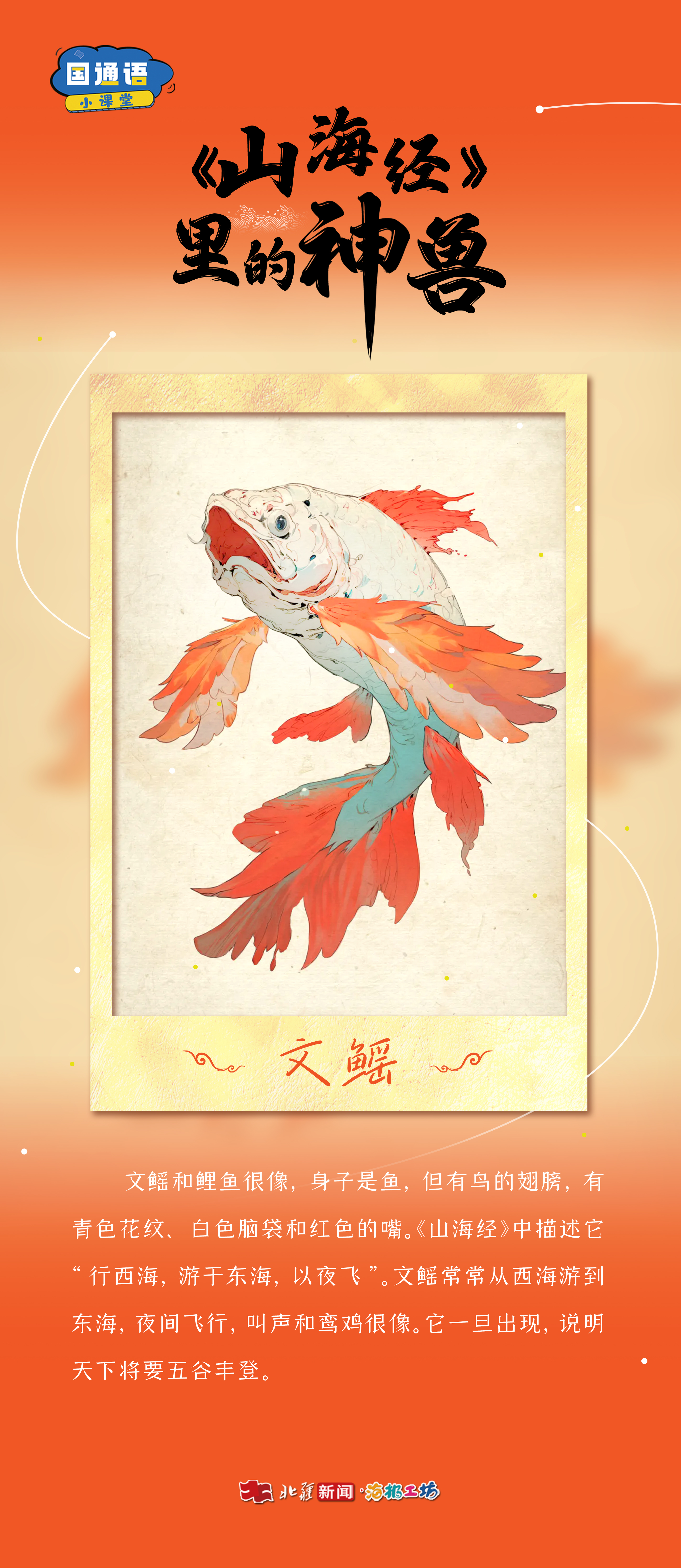 1773800906105346.jpg 文鰩.jpg