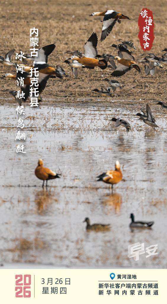 1774498099429414.jpg _DSC3208.jpg