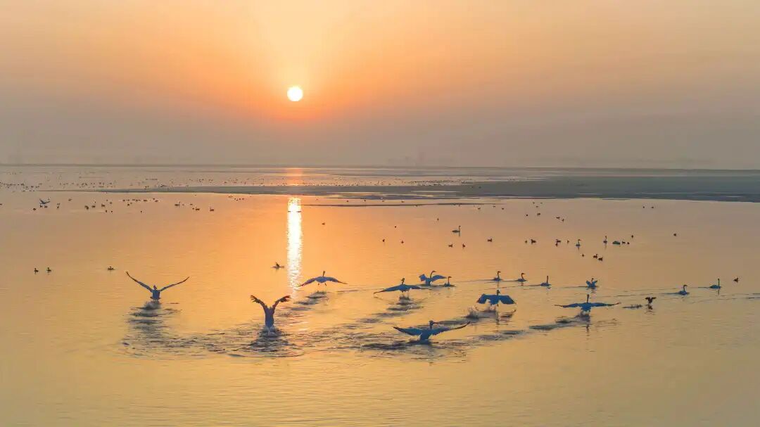 1774522493120484.jpg 640 (1).jpg