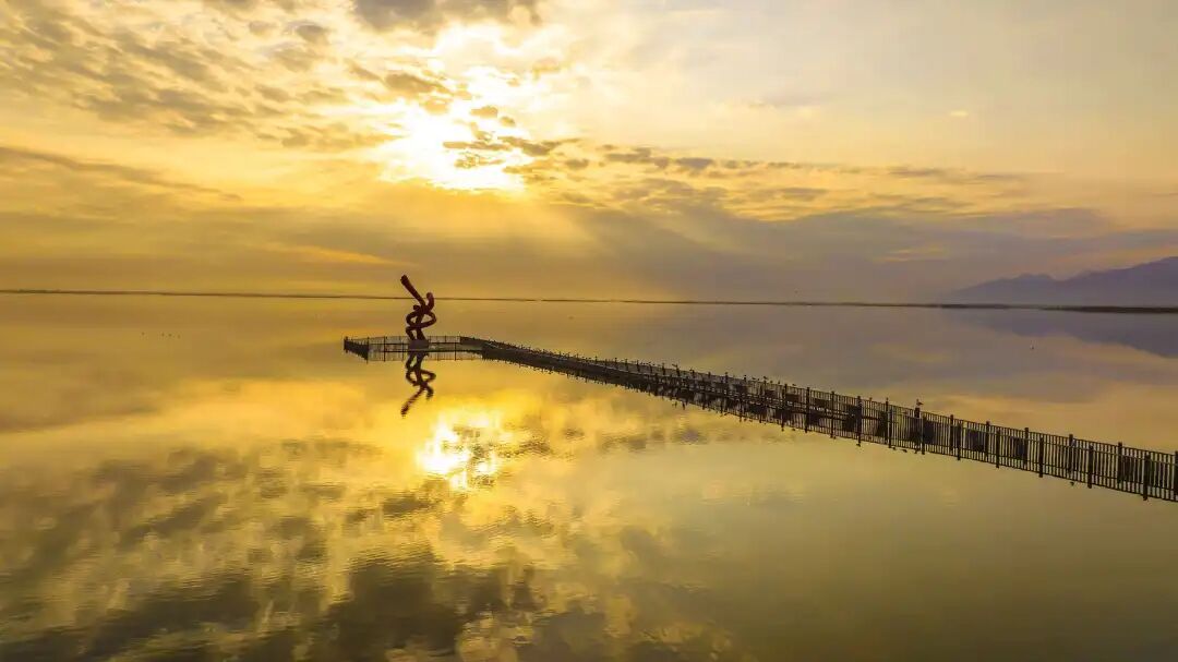 1774522502125114.jpg 640 (2).jpg