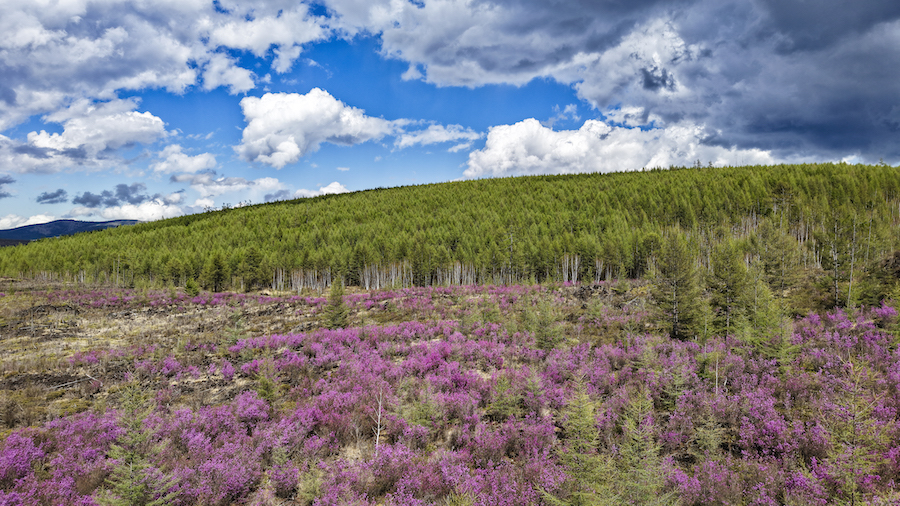 WechatIMG12557.jpeg