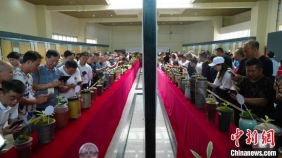 圖為活動現(xiàn)場。 云南省委臺辦供圖