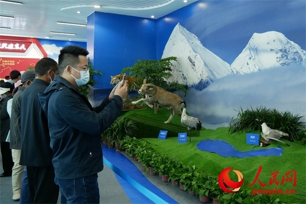 6月17日，觀(guān)眾正在觀(guān)展。人民網(wǎng) 韋衍行攝