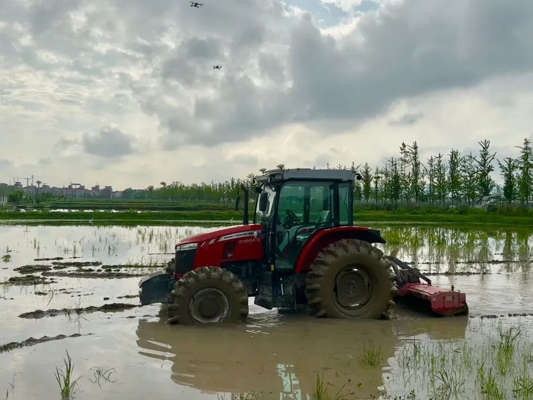浙江省金華市東陽市城東街道寀盧村的一臺無人駕駛耕地機(jī)。靜玄 攝