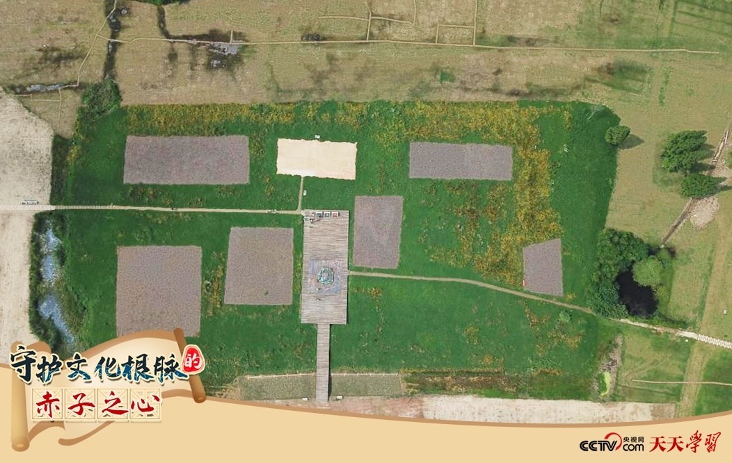 2019年6月23日無人機拍攝的良渚國家考古遺址公園的宮殿區(qū)。