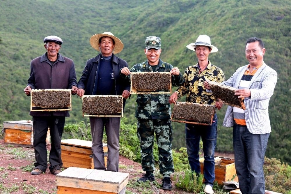 ↑武警四川總隊(duì)涼山支隊(duì)精準(zhǔn)幫扶昭覺縣梭梭拉打村發(fā)展養(yǎng)蜂產(chǎn)業(yè)，總隊(duì)駐村扶貧干部布哈（中）和村民一同展示豐收成果（2019年6月12日攝）。新華社發(fā)（楊劍 攝）