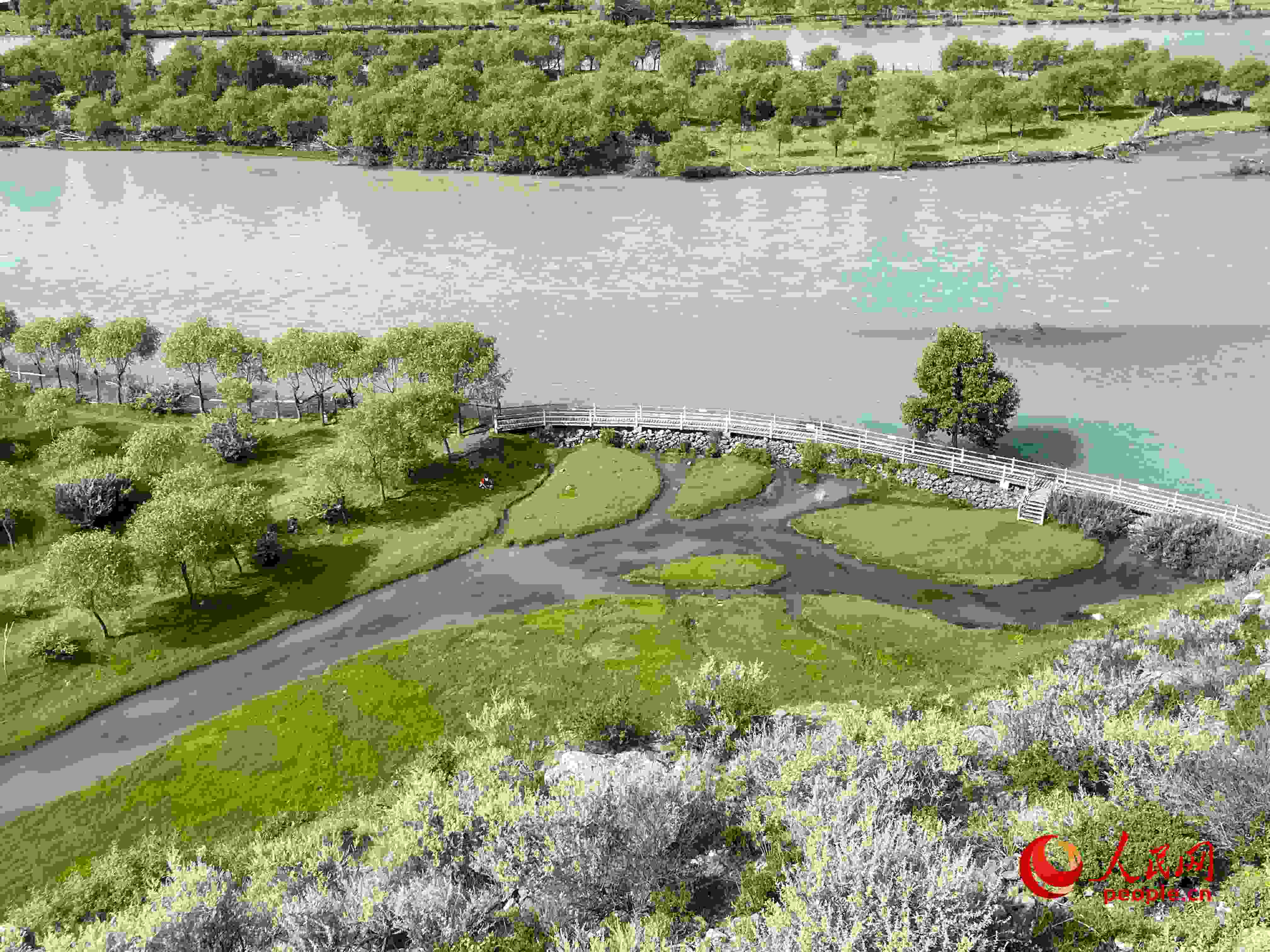 夏日的雅尼國家濕地公園生機盎然，如詩如畫。人民網(wǎng) 周靜圓攝