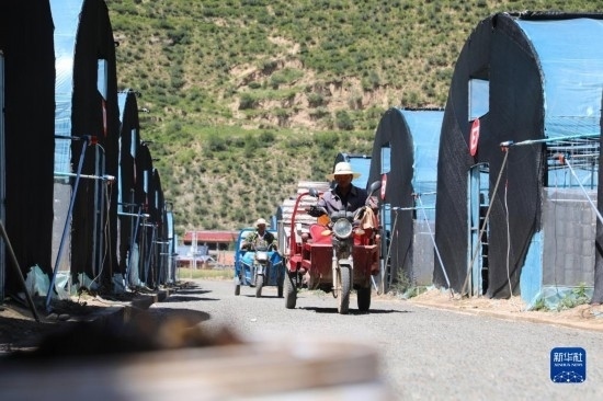 7月29日，農(nóng)戶(hù)在卓尼縣納浪鎮(zhèn)納浪村黑木耳種植基地勞作。