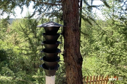 （誘捕器 央視網記者王靜遠 攝）