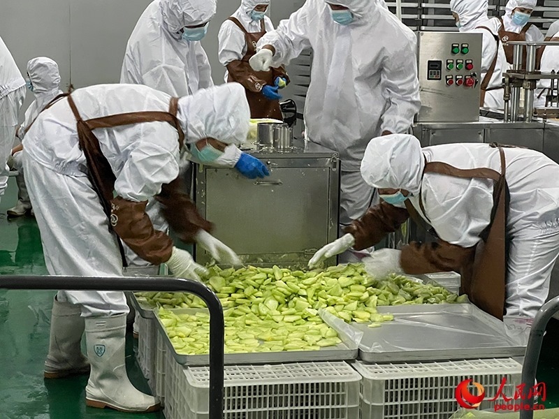 切片哈密瓜將被做成凍干食品。人民網(wǎng)記者 常雪梅攝