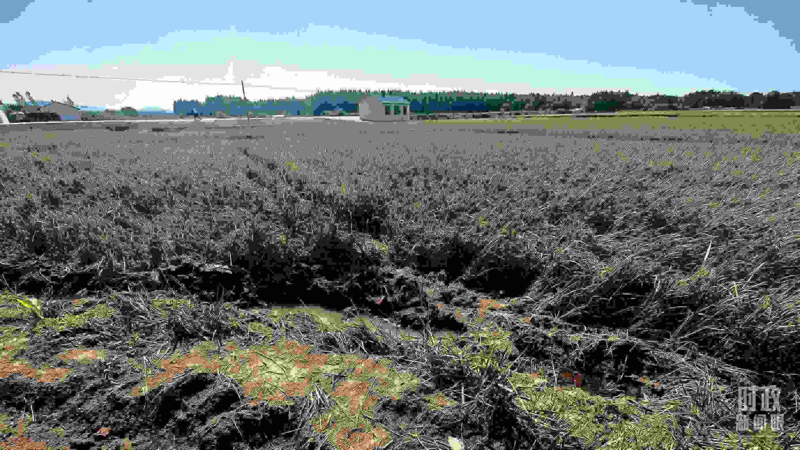 △圖為龍王廟村在洪災(zāi)中受損的農(nóng)田。（總臺(tái)央視記者史偉拍攝）