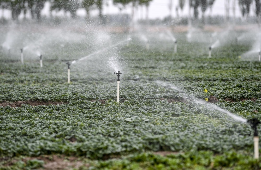 2023年5月25日，在寧夏銀川市永寧縣望洪鎮(zhèn)宋澄村冷涼蔬菜種植基地，小型噴灌節(jié)水設(shè)備在進(jìn)行噴灌作業(yè)。新華社記者 馮開(kāi)華 攝