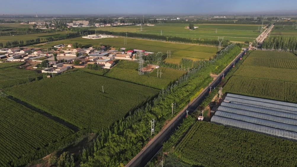 東興村周邊建起防護(hù)林網(wǎng)（無人機(jī)照片，2023年9月12日攝）。新華社記者李云平 攝