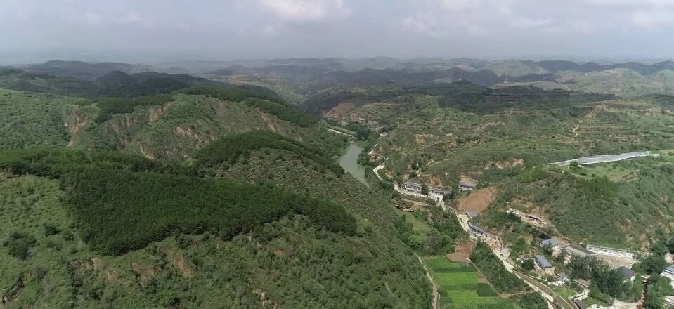 黃土溝壑中的高西溝村滿眼綠色（無人機(jī)照片，2023年7月26日）。新華社記者陳昌奇 攝