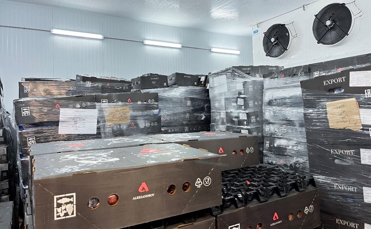 恒溫冷庫中，包裝好的牛肉等待發(fā)往中國。人民網(wǎng)記者 朱虹攝