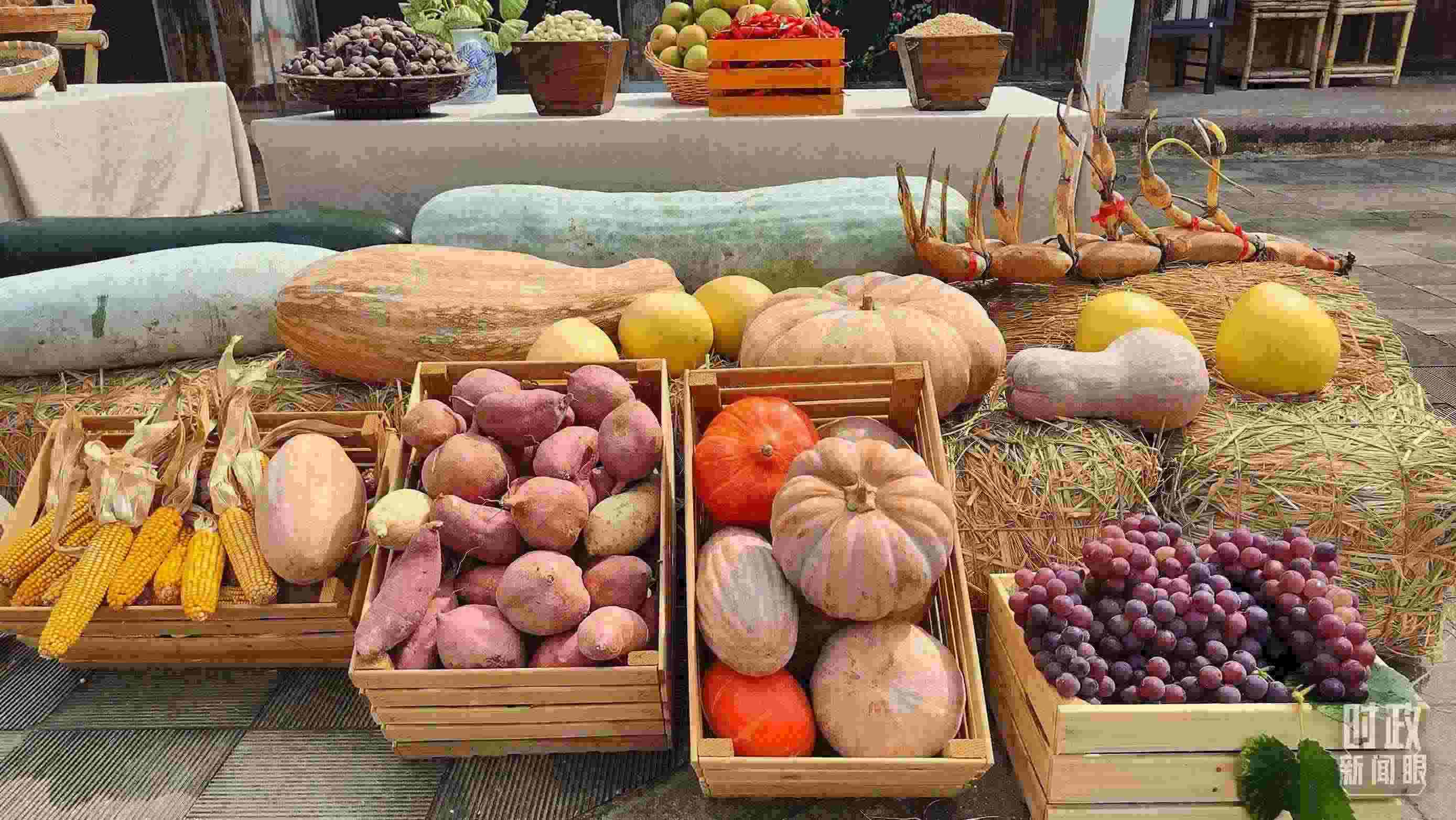 △村廣場(chǎng)“共富市集”，擺放著種類豐富的特色農(nóng)產(chǎn)品。（總臺(tái)央視記者楊立峰拍攝）