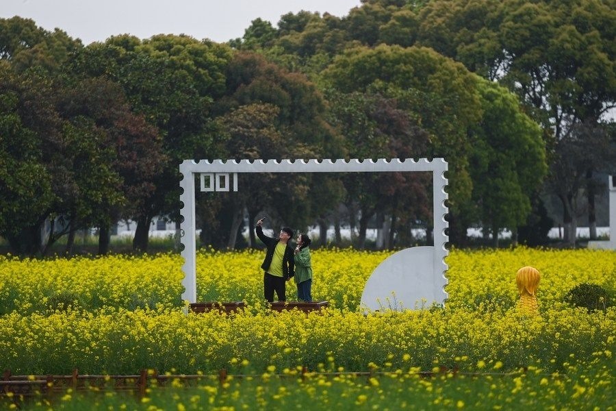  游客在浙江嘉興市秀洲區(qū)王店鎮(zhèn)鎮(zhèn)中村的“青青樂(lè)地”農(nóng)耕文化園內(nèi)游玩（2023年4月3日攝）。