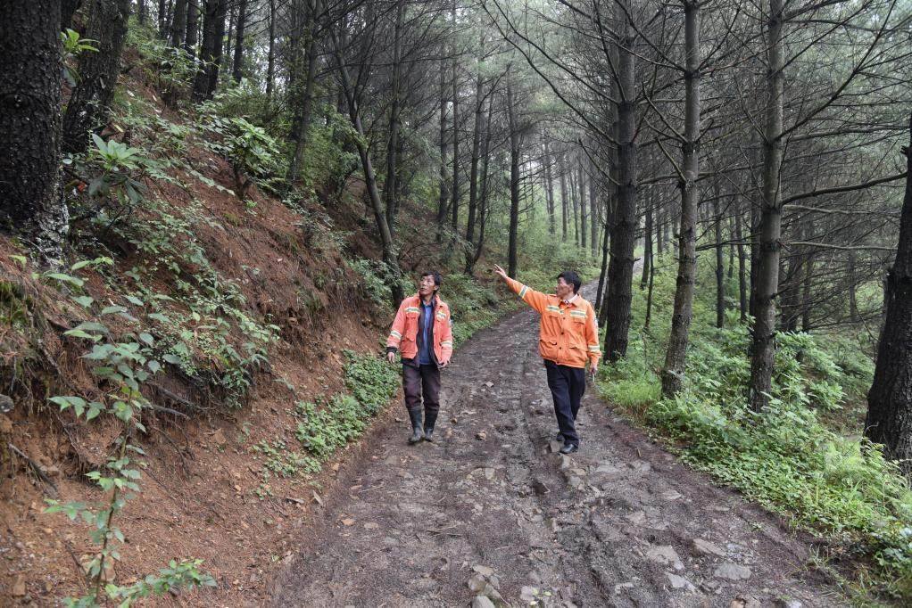 海雀村生態(tài)護(hù)林員馬正安（左）和海雀村林管員王光德（右）在日常巡山護(hù)林。新華社記者 李凡 攝