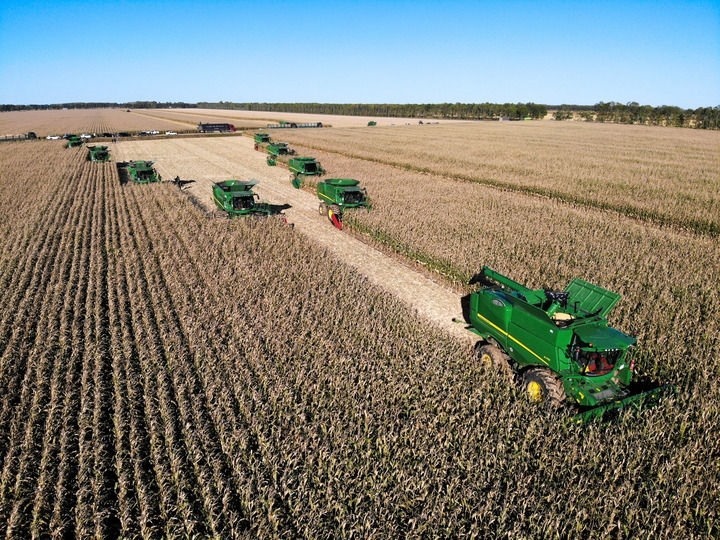 9月20日在位于黑龍江雙鴨山市友誼縣的北大荒農(nóng)業(yè)股份有限公司友誼分公司一地塊拍攝的秋收現(xiàn)場(chǎng)（無人機(jī)照片）。新華社記者 王松 攝