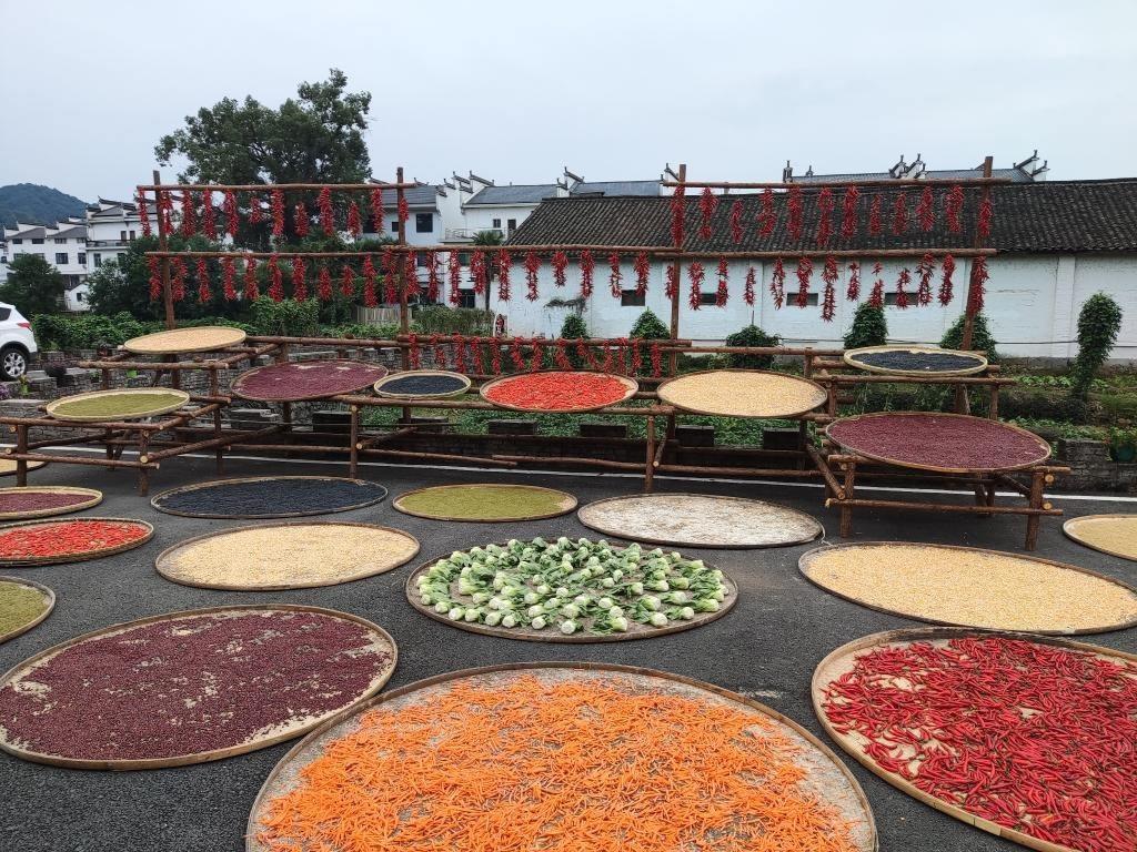 近日，江西省上饒市婺源縣秋口鎮(zhèn)王村村民晾曬的農(nóng)作物。新華社記者 劉佳敏 攝