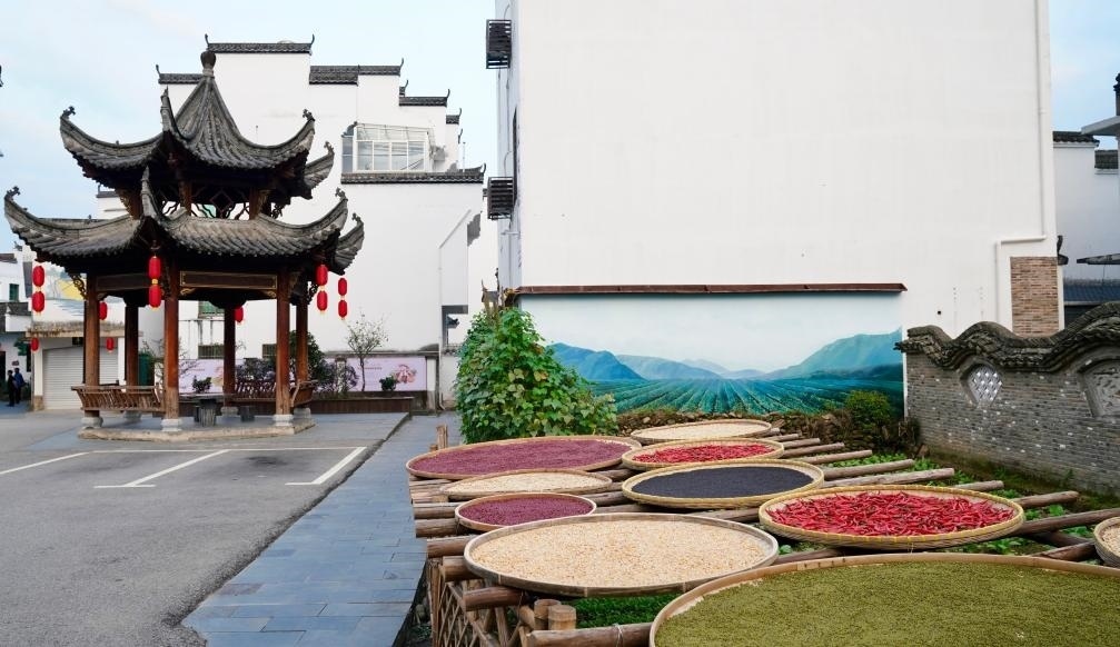 近日拍攝的江西省上饒市婺源縣秋口鎮(zhèn)王村石門自然村曬秋場景。新華社記者 胡晨歡 攝