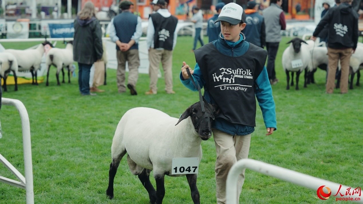 烏拉圭第118屆普拉多牧農(nóng)業(yè)國(guó)際博覽會(huì)現(xiàn)場(chǎng)。人民網(wǎng)記者 張若涵攝